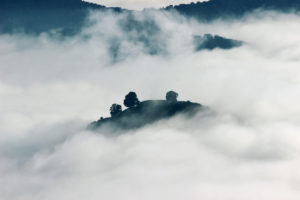 foggy-scenery