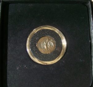 treasure in coins