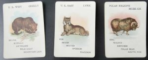 Mcloughlin Bros. Wild Animals game cards