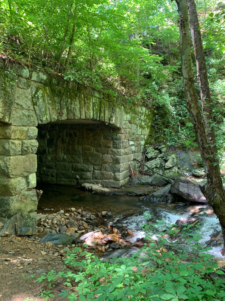 In Search of the Treasure Man’s Virginia Cache: Six Questions with ...