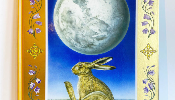 MW Spotlight #15: The Hare on the Moon Treasure Hunt Book by Joanna May