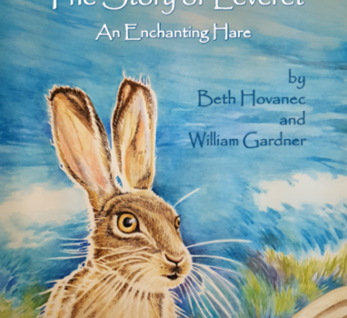 Six Questions with Bill Gardner and Beth Hovanec on The Story of Leveret: An Enchanting Hare