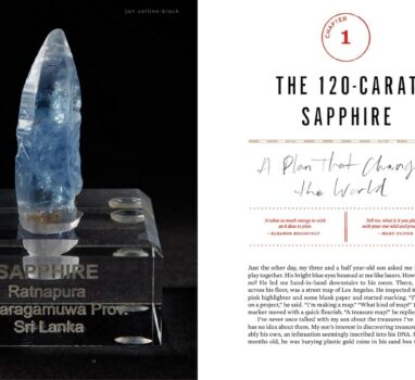 There’s Treasure Inside: TTI Chapter 1 Clues, Highlights, and Theories