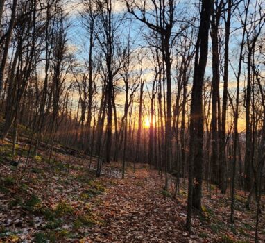 Treasure Story #1: Search for There’s Treasure Inside’s Appalachian Footpath Box – with Matt F