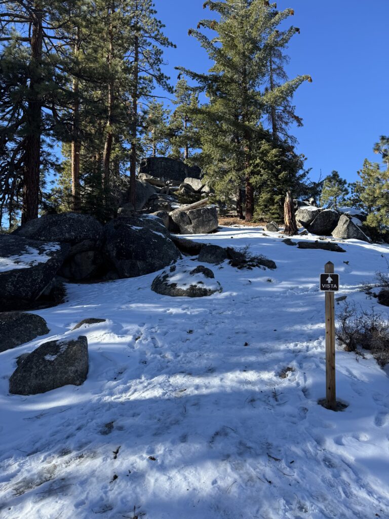 Tahoe Treasure Box search