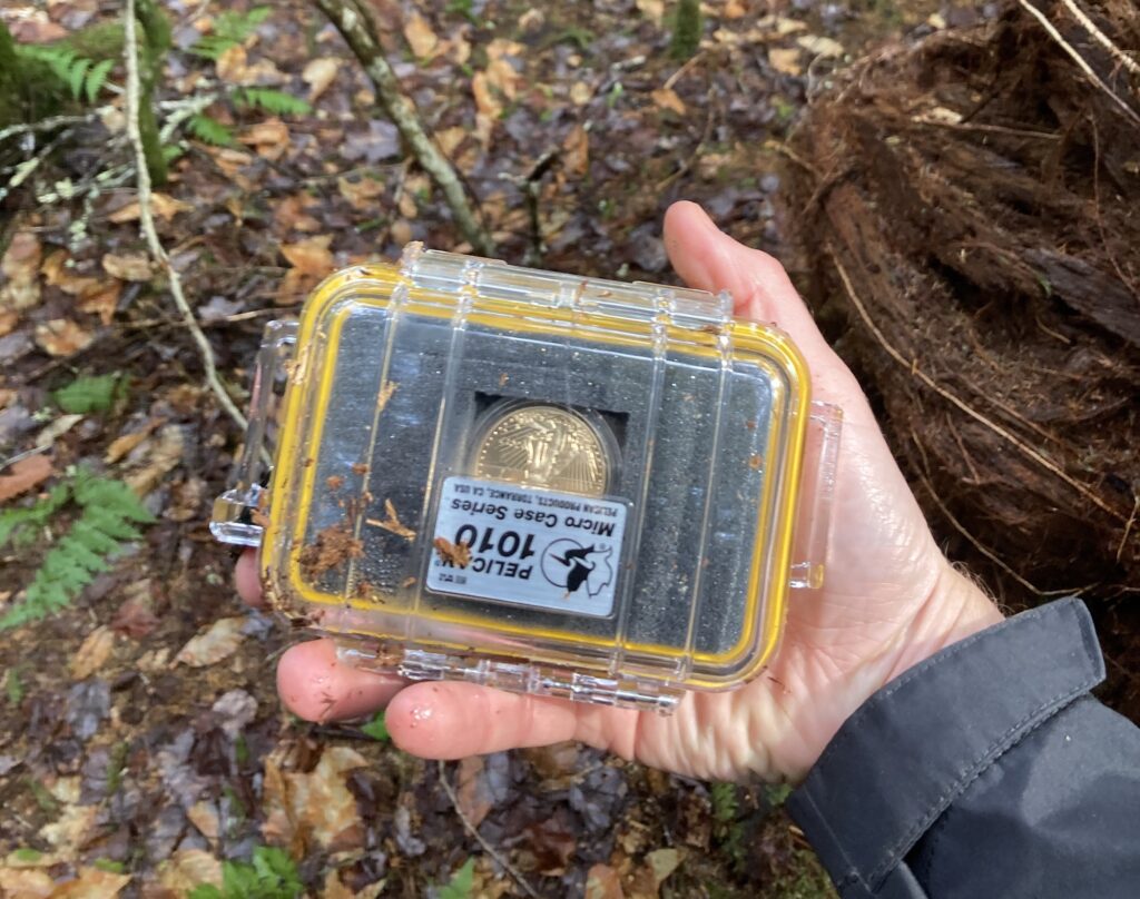 Este's Quest #3 Found Treasure Gold Coin