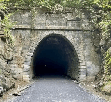 Masquerade Tribute Main Hunt Solution 2025