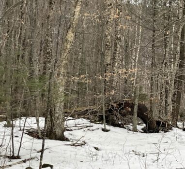 Six Questions on the Devil’s Tombstone Treasure Hunt – Found!