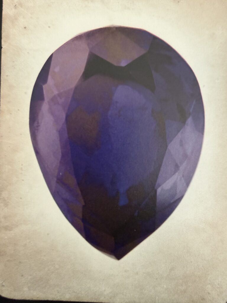 There's Treasure Inside Tanzanite Clue Lion's Share box treasure hunt